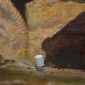 Wafters Truskawka 8mm Baryłki Bandit Feeder - obrazek 2